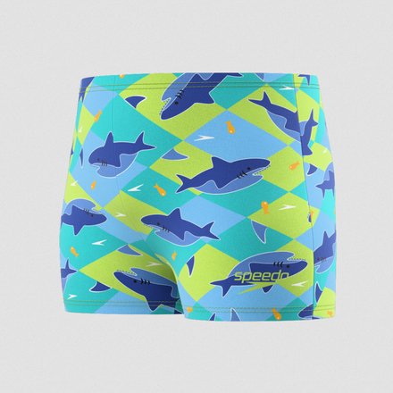 BLUE/GREEN