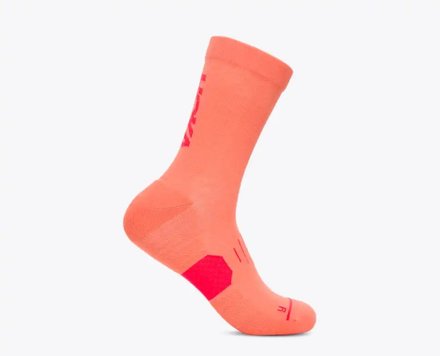 NEON CANTAL